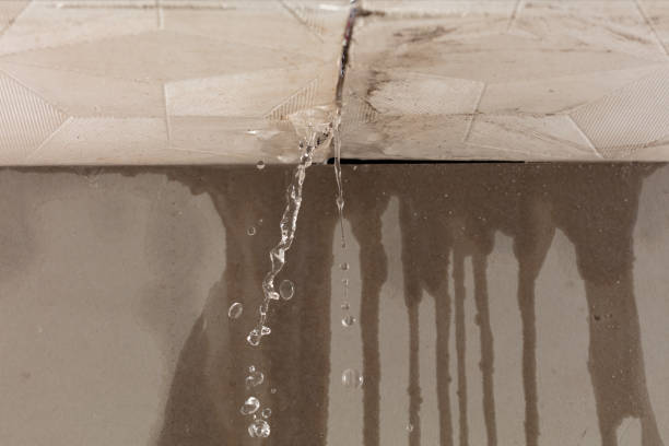 Professional Water Damage Restoration technician working in Oak Park, IL